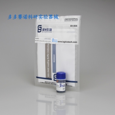 5xSDS-PAGE loading buffer,凝胶电泳上样缓冲液,样品制备和上样