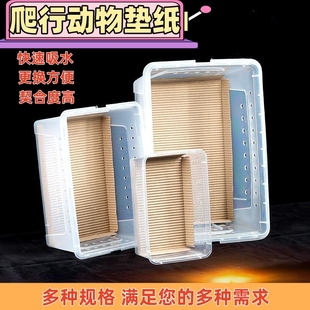 爬宠瓦楞纸垫材爬虫用品睫角守宫饲养箱专用