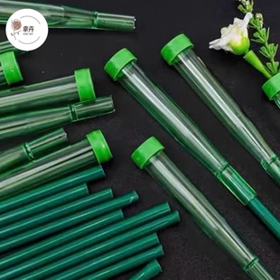 新款鲜花加长保水管蝴蝶兰营养管花店养花储水管带杆加长洋兰管