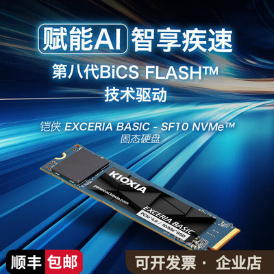 Kioxia/铠侠1TB SF10/VD10/VE10 2TB M.2固态SSD硬盘笔记本电脑
