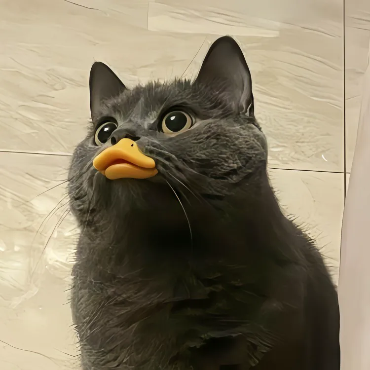 不鸡肋嘴套！猫咪鸭嘴套防咬防叫防乱吃宠物面罩猫咪拍照出片神器