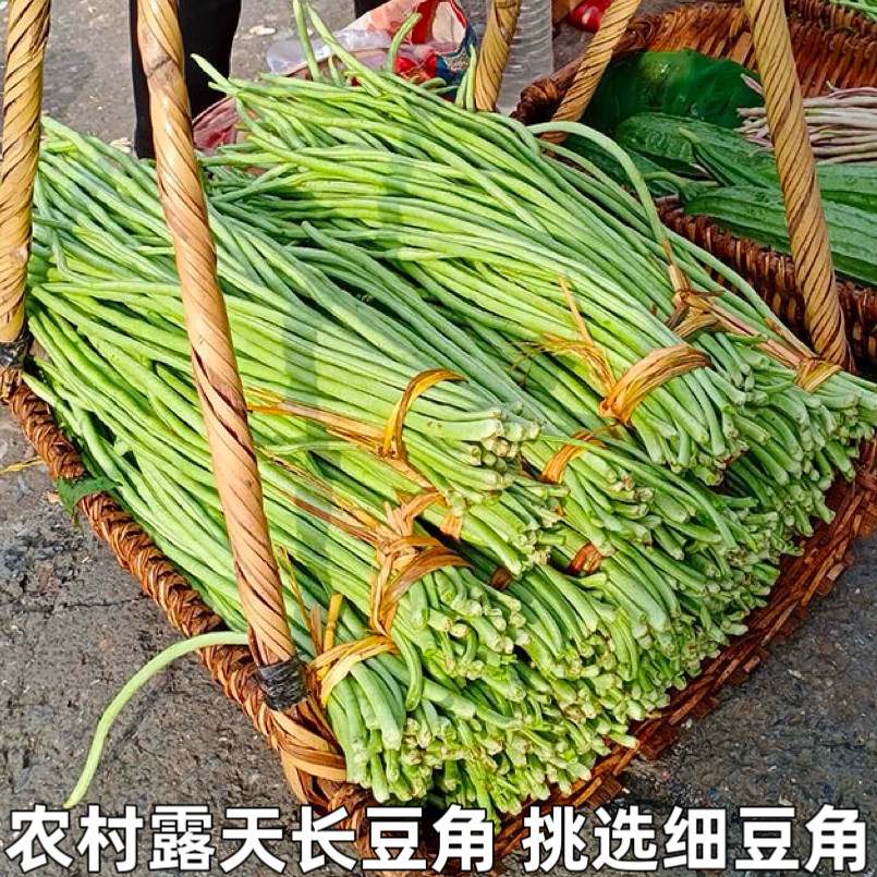 新鲜豇豆长豆角嫩姜豆角豆挂豆角长豇豆酸豆角原材料农家自种包邮