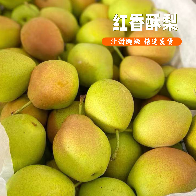 香梨脆甜酥梨梨子新鲜水果红香酥梨新脆梨当季精选核小无渣青雪梨