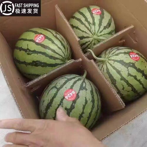 甜冰糖麒麟西瓜水果新鲜薄皮多汁
