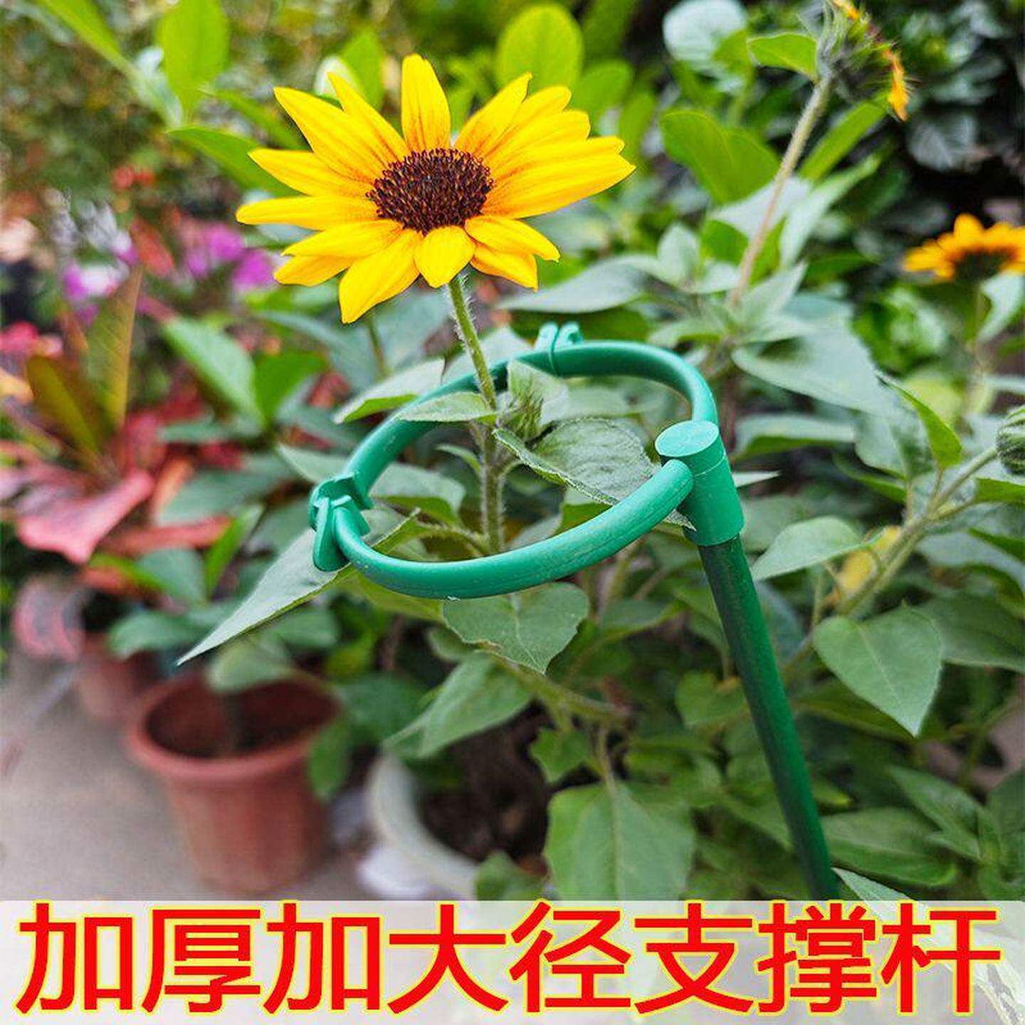 菊花支撑杆花架爬藤架子固定器支撑架户外植物攀爬架花支架防倒伏