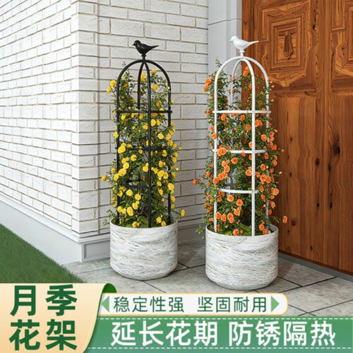 花架爬藤支架花盆园艺支柱月季铁线莲球兰绿萝植物防倒攀爬支撑杆