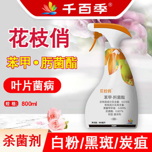 千百季花枝俏杀菌剂免稀释多菌灵白粉病黑斑病兰花月季多肉专用药