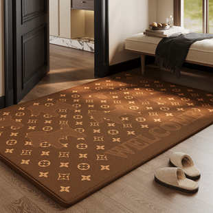 轻奢高级感玄关大门口入户门地垫进门脚垫防滑除尘室内可定制地毯
