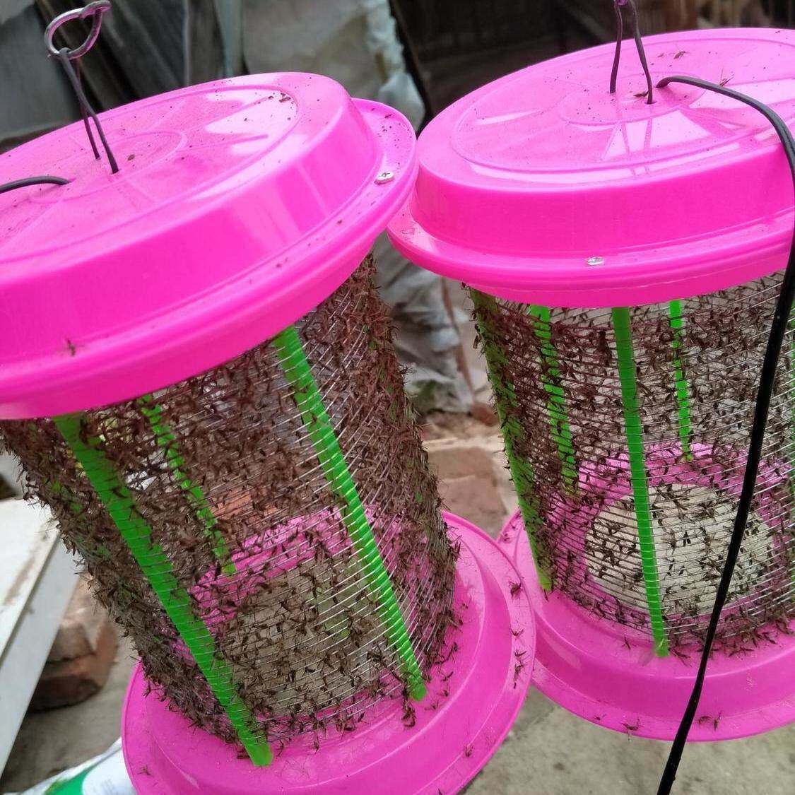 老式电击式led灭蚊灯吸蚊神器无辐射家用养殖场杀白蚁飞蛾灭苍蝇