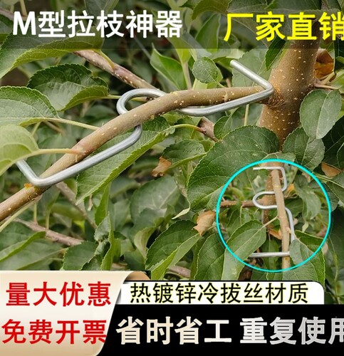果树拉枝器定型器花卉月季压弯开角别枝神器苹果樱桃树m型拉枝器