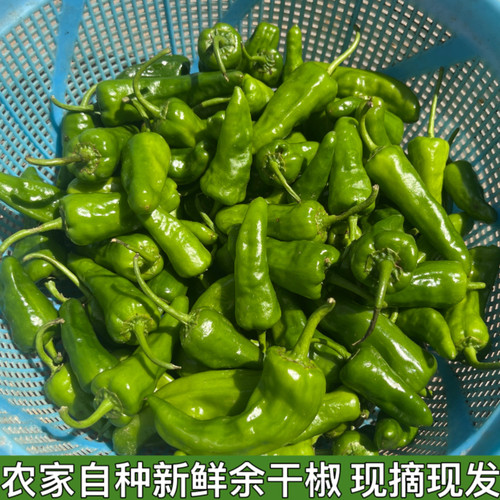 湖北农家自种余干辣椒土香辣食用