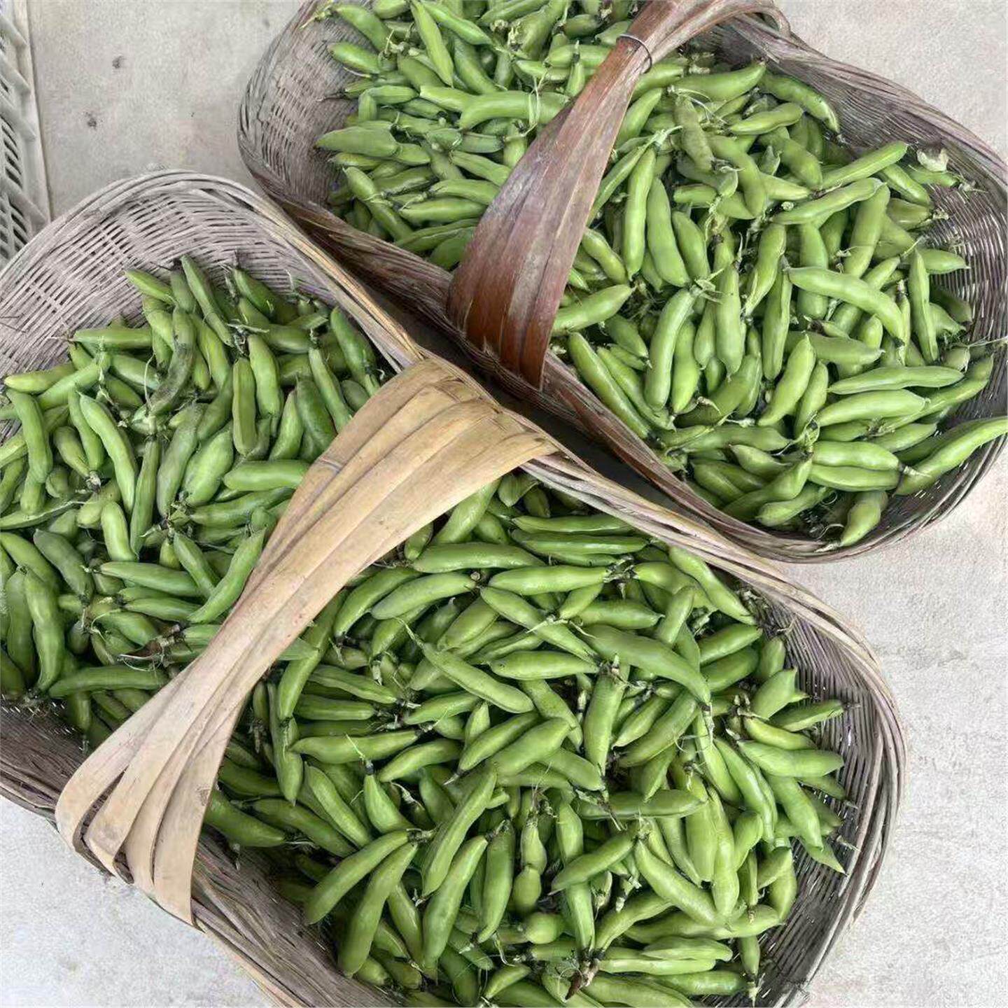 湖北农家新鲜生大绿心带壳蚕豆米嫩胡罗汉豆角青豆夹时令蔬菜