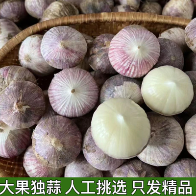 新鲜独蒜精品装农家自种