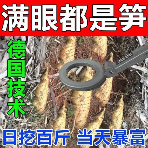 冬笋探测仪冬笋高精度手持式新款挖笋专用找笋神器探测器竹笋竹林