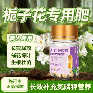 栀子花植物营养液专用浓缩家用室内花肥花卉盆栽黄叶促花绿植肥料