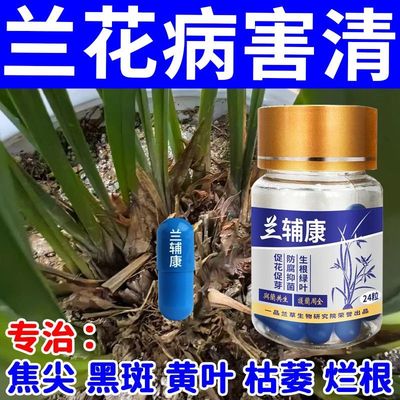 兰花黄叶专用营养液兰花黄叶长黑斑空根烂根软腐病免稀释有机肥料