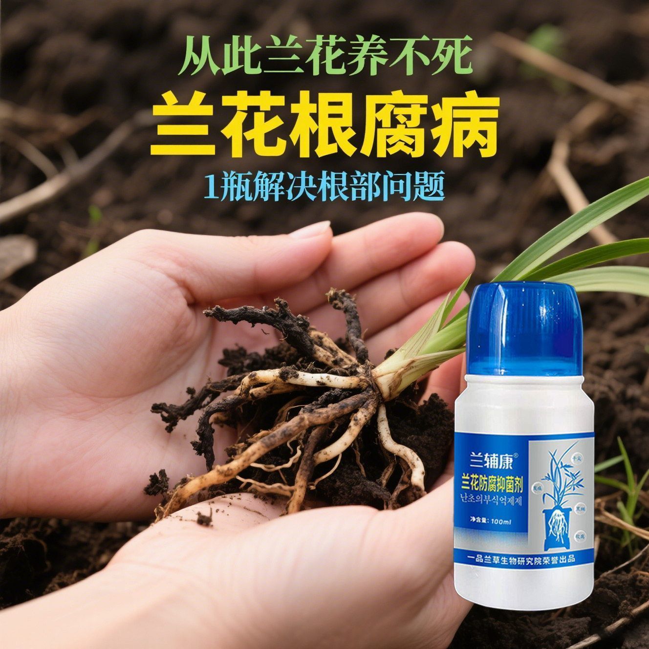 兰花专用药病全治茎腐病叶斑黑斑病炭疽病黄叶焦尖死棵烂根杀菌剂