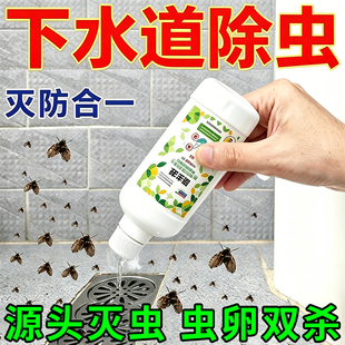 下水道小飞虫灭杀神器管道去除蛾蠓杀虫剂厕所厨房蛾蚋特效专用药