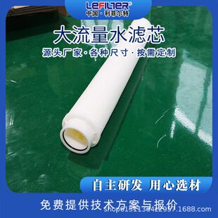 利菲尔特  大流量水滤芯 用于海水淡化预处理 高纳污量