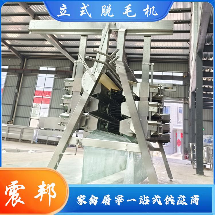 不锈钢家禽用电动脱毛机加工 全自动屠宰流水线设备 双业机械供应