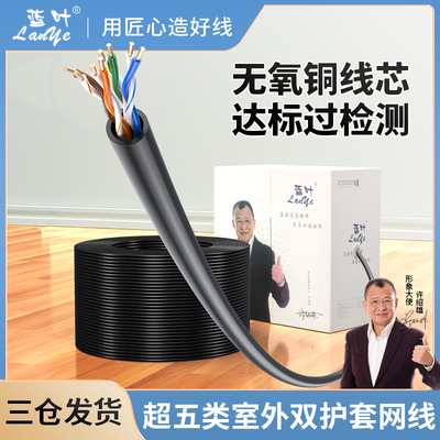 国标超五类蓝叶双外皮