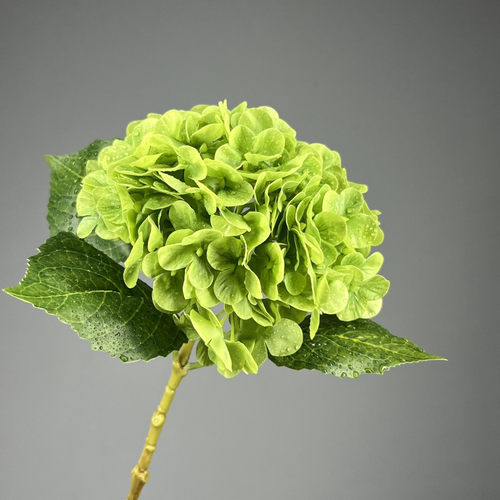 仿真绣球花手感保湿超逼真假花花束新款客厅餐桌装饰假花拍照摆件