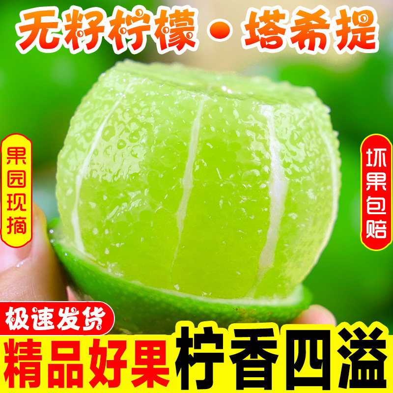泰国无籽柠檬5斤薄皮一级小青柠海南塔希提奶茶店绿皮香水果整箱9