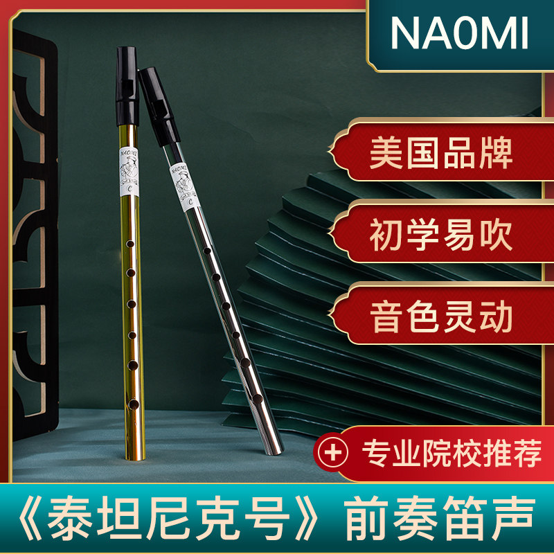 哨笛爱尔兰初学者入门演奏6孔cd调高音金属直笛专业演奏竖笛乐器