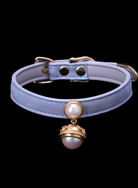 【Puppy Secret】朋克亚文化哥特手环Choker镀金珍珠中古款项圈女