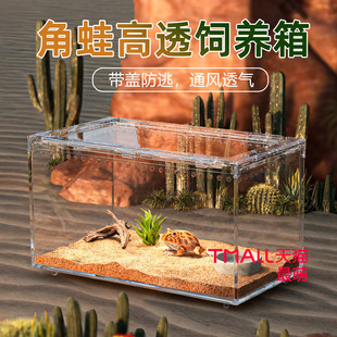 角蛙爬宠饲养箱高透亚克力树蛙睫角蛇蜘蛛生态造景一体缸全景观赏