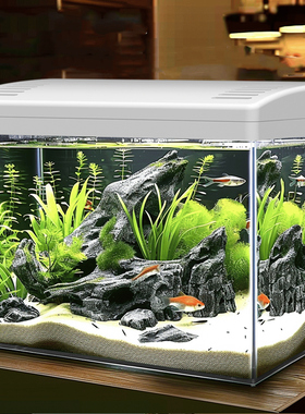 鱼缸新款家用客厅小型乌龟饲养缸过滤器净水循环三合一生态造景缸