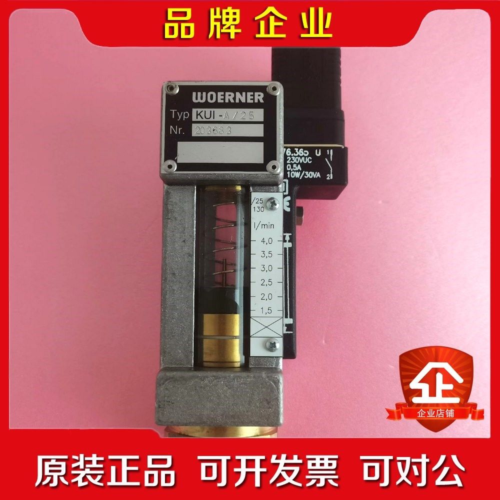 德国WOERNER威纳KUI-A25流量计原装 议价
