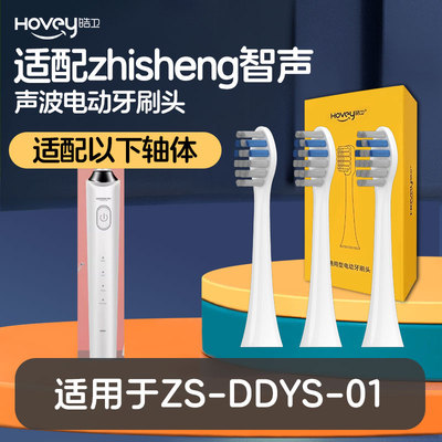 适配zhisheng智声声波电动牙刷头ZS-DDYS-01刷头通用替换头