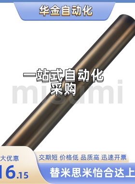 导向轴 SFAW/SSFAW/RSFAW6/8/10/12/13/15/16/18/20-150-M12-N12