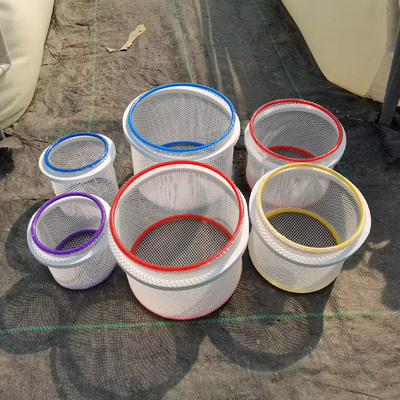 新款鱼缸隔离盒孔雀鱼繁殖盒孵化器小鱼幼鱼母鱼产房悬浮漂浮网