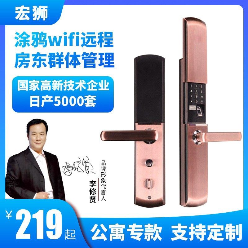 宏狮指纹锁涂鸦智能锁WiFi远程防盗门木门锁公寓密码锁智能锁