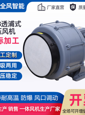 HTB100-203透浦式风机HTB100-304透浦中压多段风机燃烧机助燃风机