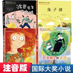 企鹅注音版 当当网正版 兔子坡飞吧红头发波普先生 国际大奖小说·注音版 童书