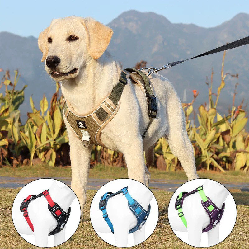 狗狗牵引绳中大型犬金毛拉布拉多背心式胸背带脖圈链遛狗绳可调节