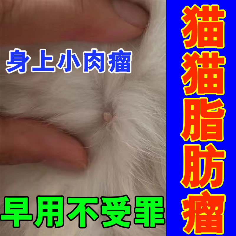 猫咪脂肪凸起肿胀宠物肿