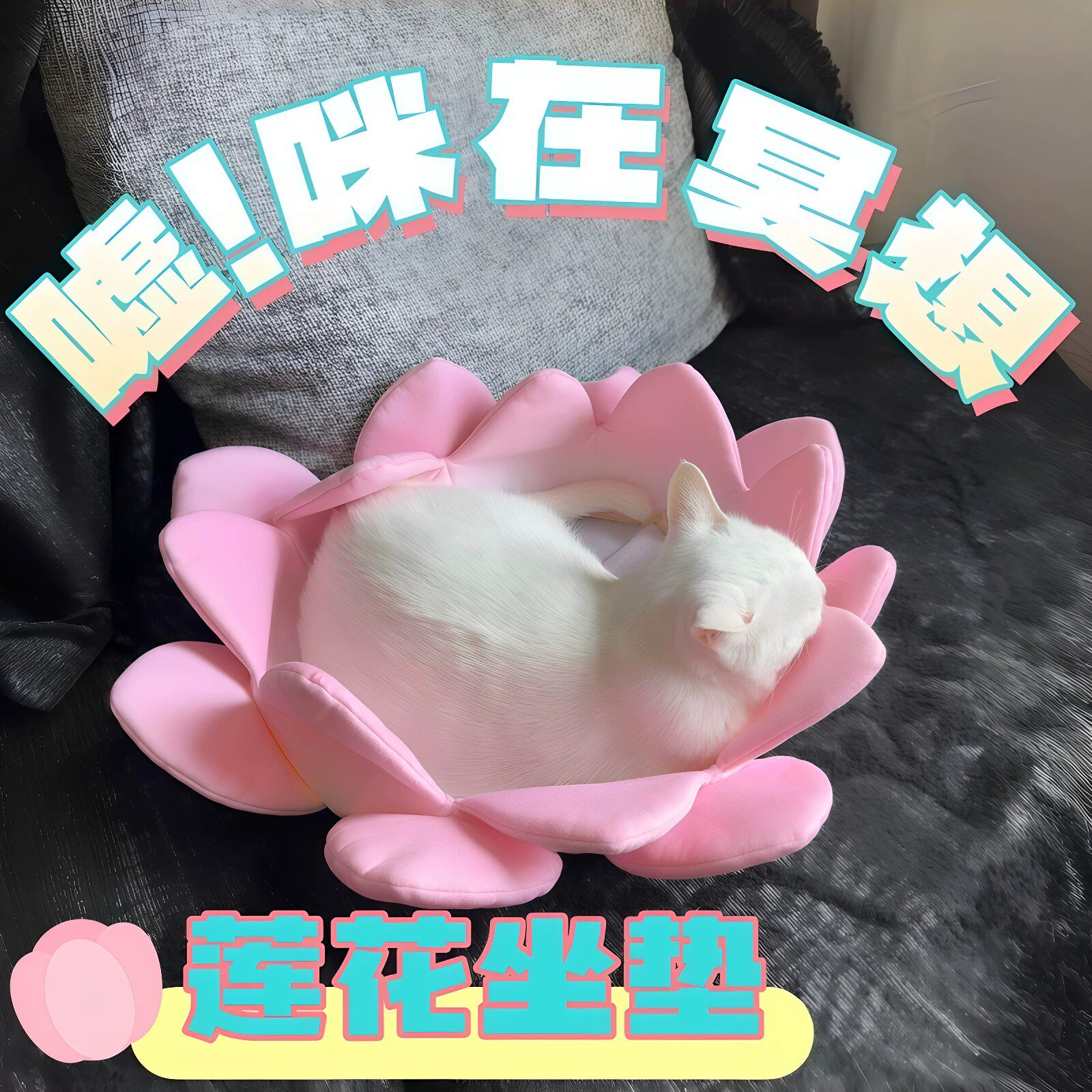 冥想好运莲花猫咪坐垫加厚耐抓