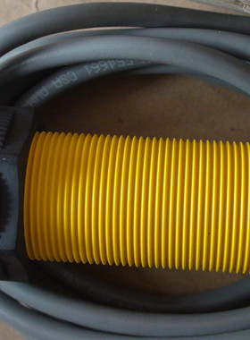 原装进口光电SM30SP6R