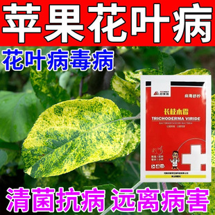 苹果花叶病专用肥料病毒病卷叶小叶锈病银叶病皱叶病水溶叶面肥料