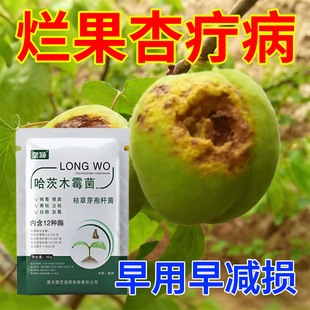 杏疔病专用肥料杏树病害清锈斑炭疽霜霉褐腐烂根疮痂水溶叶面肥料