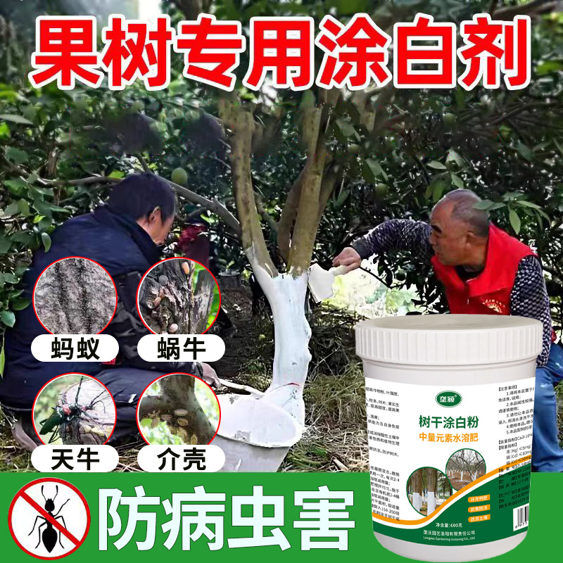 果树树干涂白剂防冻害抗寒保暖减少昼认温差柑橘樱桃龙眼杨桃防冻
