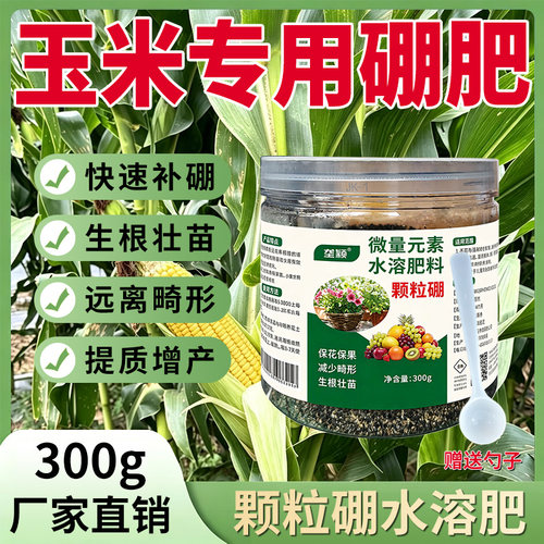 玉米膨大增产颗粒硼肥促花壮穗
