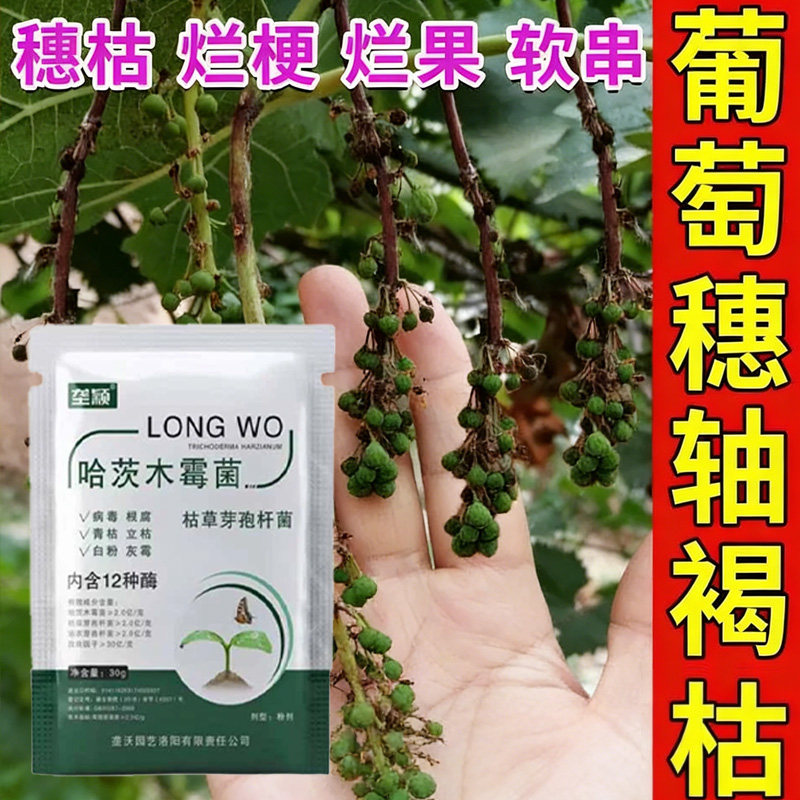 葡萄穗轴褐枯病专用肥穗杆干枯病烂梗烂果裂果幼果萎缩落果软串肥
