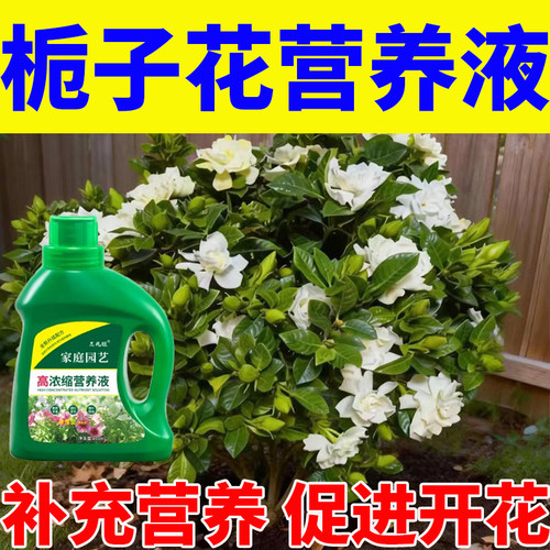 栀子花茉莉花专用酸性营养液肥料促开花增绿增肥延长花期懒人常备