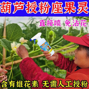 葫芦授粉剂坐果灵激活水免点花神器催花促花保花保果增瓜灵防落果