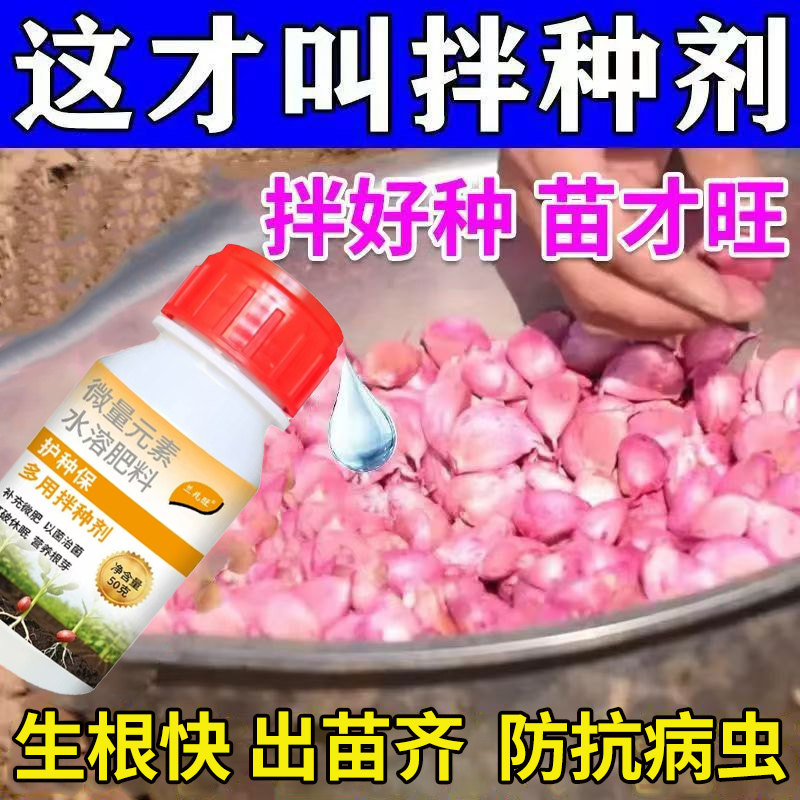 大蒜拌种剂种子专用促出芽促生根壮苗叶片肥厚防干尖根腐防病虫害